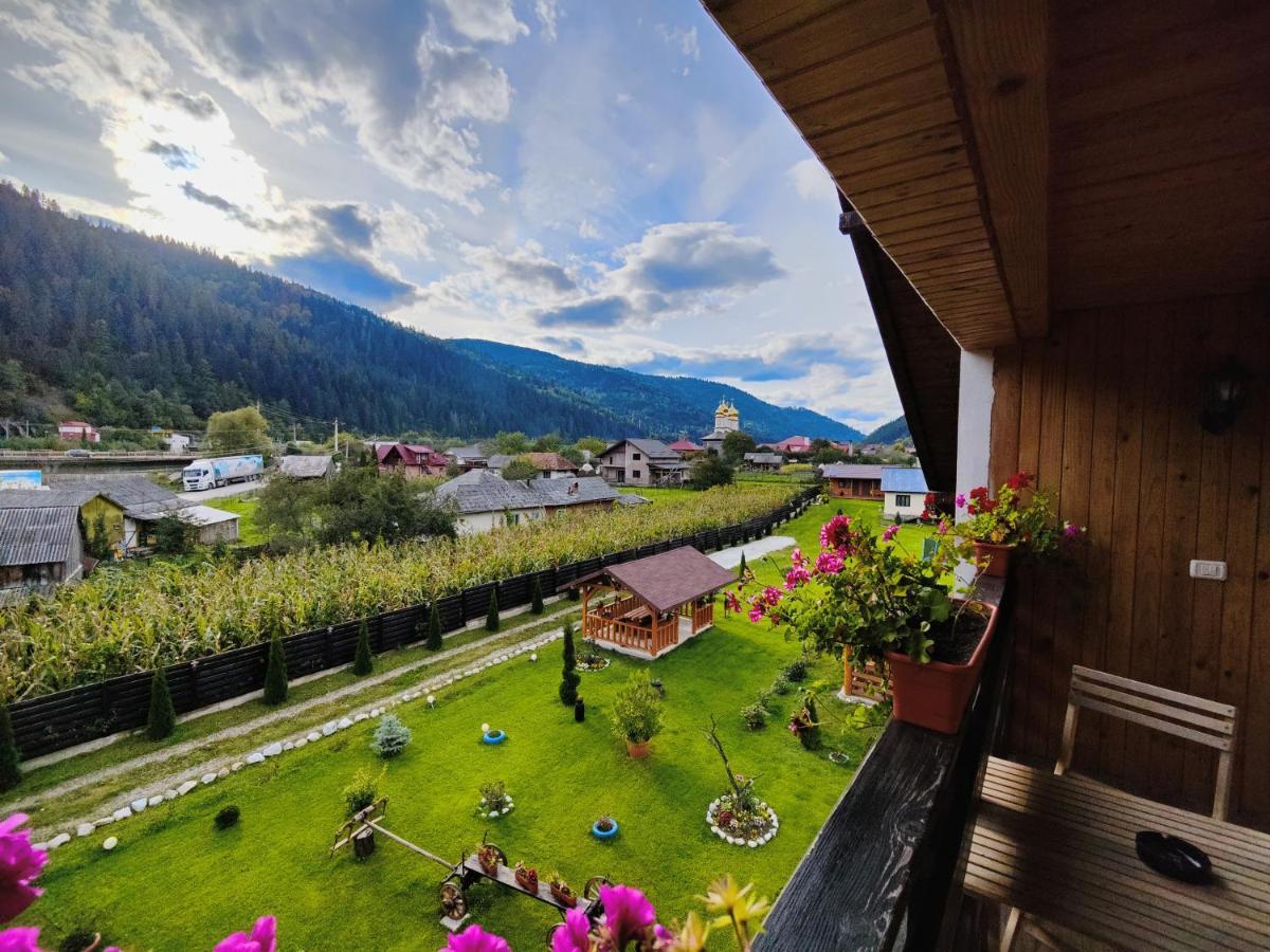 ホテル Casa Poiana Teiului エクステリア 写真