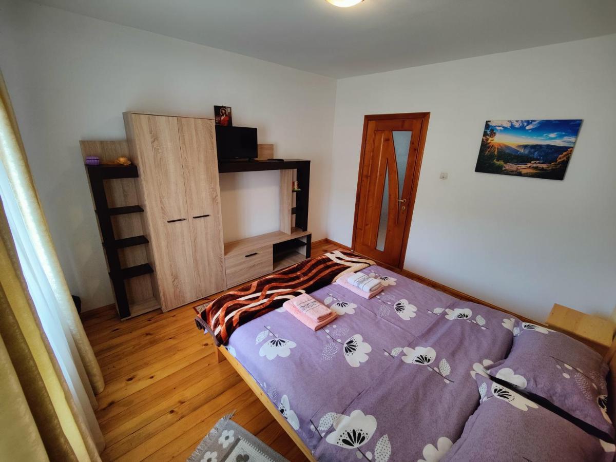 ホテル Casa Poiana Teiului エクステリア 写真