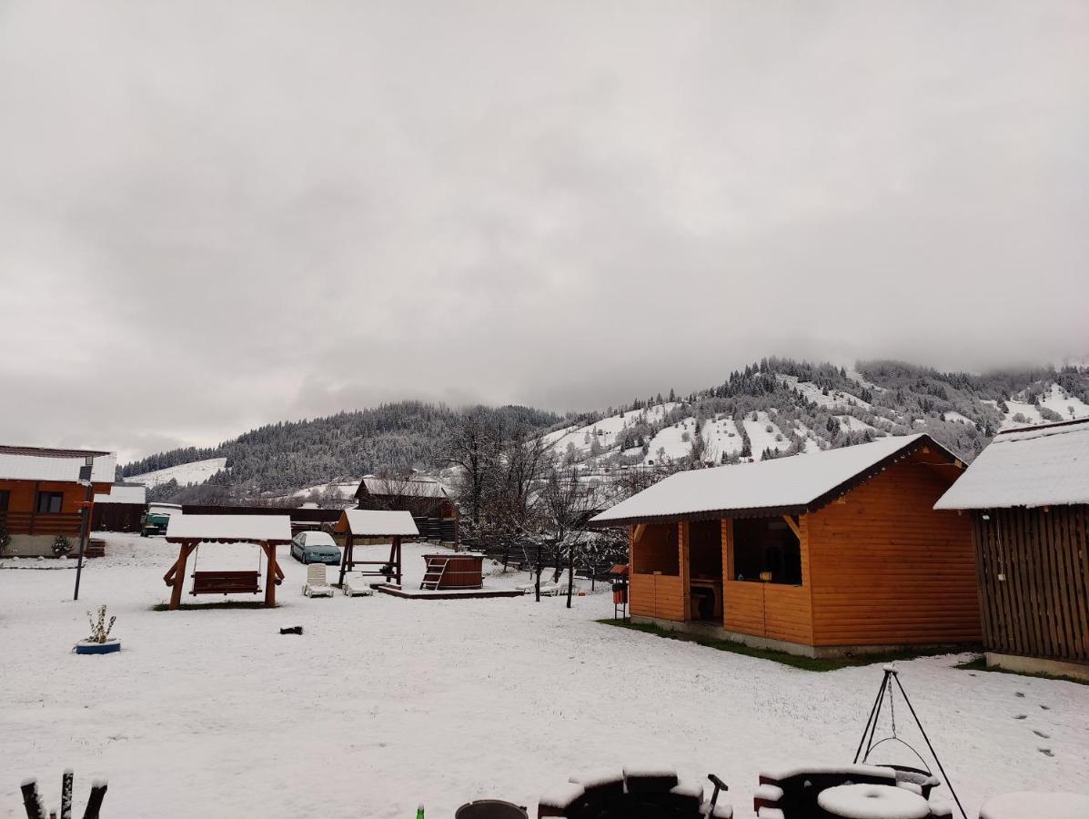 ホテル Casa Poiana Teiului エクステリア 写真