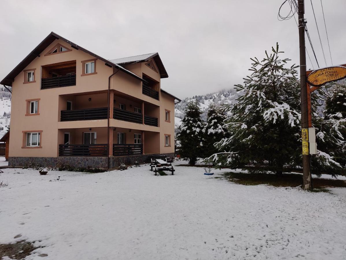 ホテル Casa Poiana Teiului エクステリア 写真