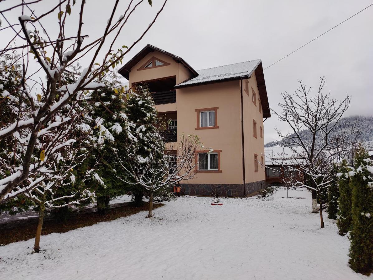 ホテル Casa Poiana Teiului エクステリア 写真